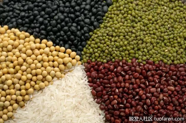 【圖】d-肌醇含量高的食物