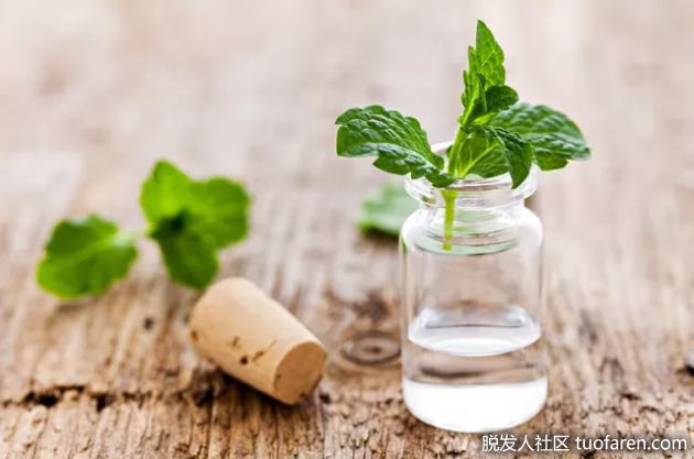 【圖】如何喝薄荷油