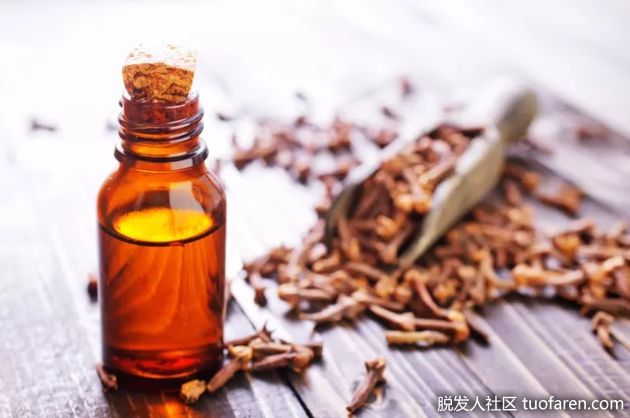 【圖】丁香精油如何用於呼吸健康