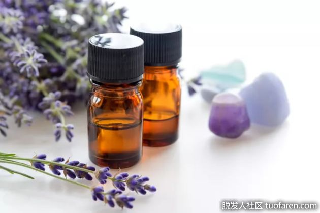 【圖】薰衣草和茶樹油的用途