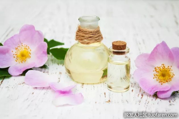 【圖】玫瑰果精油的保質期是什麼？