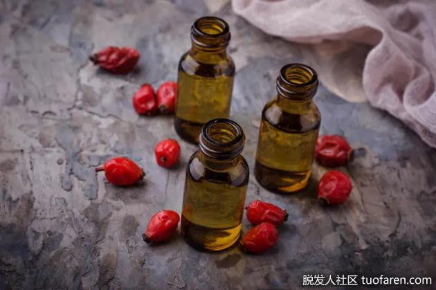 【圖】如何製作玫瑰果精油