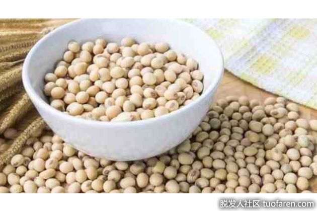 【圖】含有雌激素和黃體酮的食物或草藥