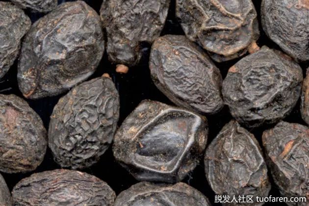 【圖】鋸棕櫚對男人的好處