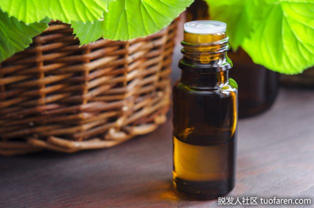【圖】茶樹油作為食品防腐劑