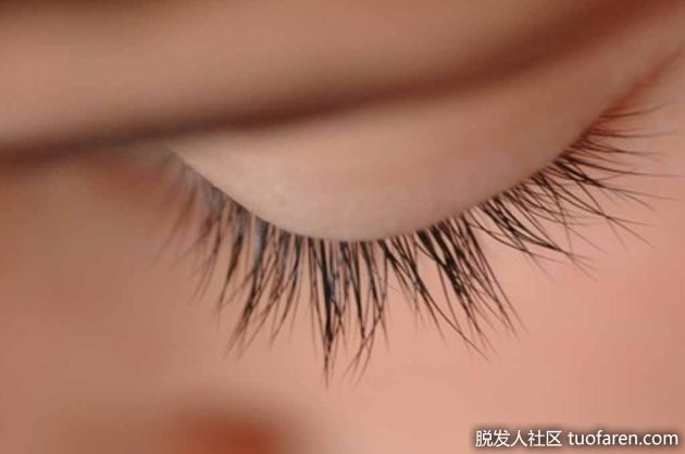 【圖】什麼能幫助睫毛再生？