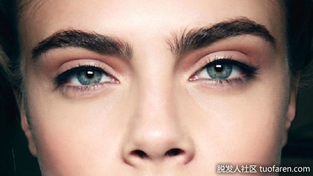 【圖】眉毛生長速率