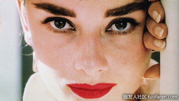 【圖】眉毛生長方法