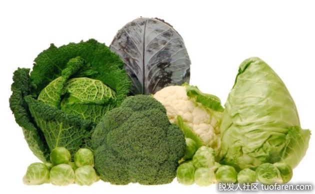 【圖】富含膽鹼的蔬菜