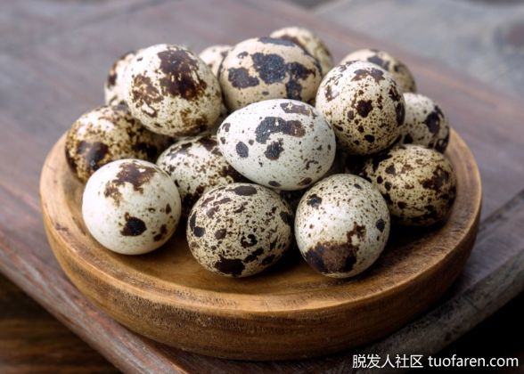 【圖】鵪鶉蛋有什麼好處？