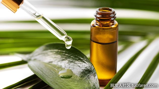 【圖】茶樹油的使用方法（塗抹頭皮）