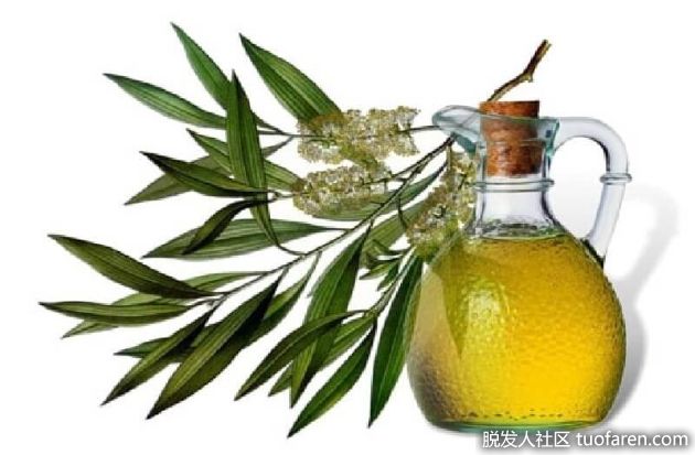 【圖】茶樹油的使用方法（用於頭皮發癢）