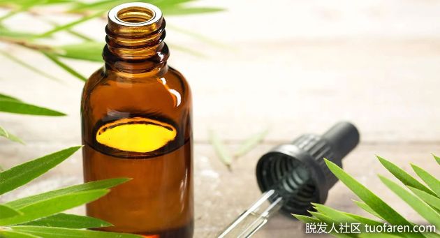 【圖】茶樹油的使用方法(用於頭皮潰瘍)