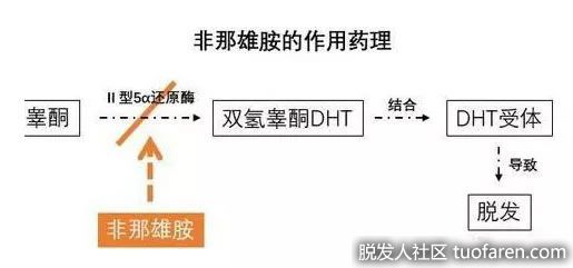 【圖】新生植髮：這些人不適合吃非那雄胺!