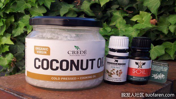【圖】用於頭髮生長的髮膜：椰子油+迷迭香