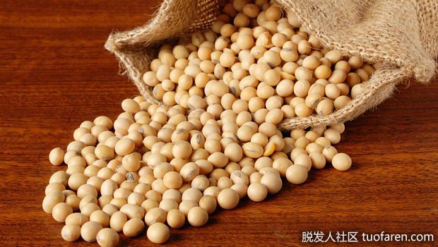 【圖】黃豆含生物素嗎？