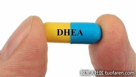 【圖】脱氫表雄酮(DHEA)的來源