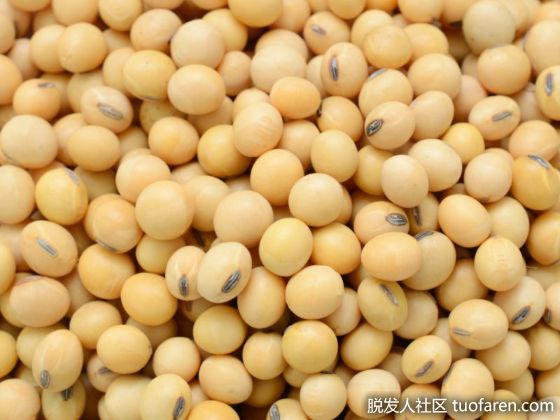 【圖】大豆對圍絕經期婦女的好處