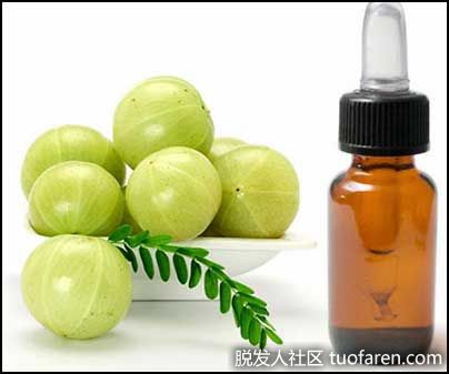 【圖】Amla對頭髮的好處