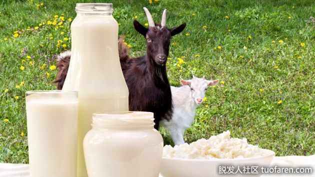【圖】山羊奶的好處