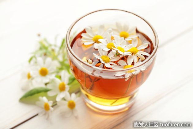 【圖】洋甘菊茶的好處