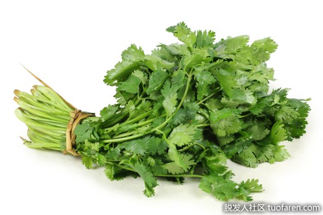 【圖】香菜的好處
