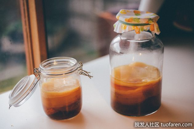 【圖】康普茶的8大好處