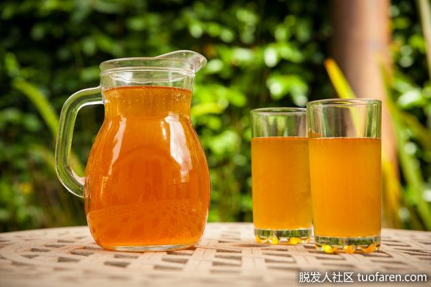 【圖】什麼是康普茶？好處 味道 副作用