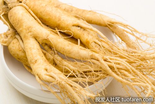 【圖】高麗蔘的功效