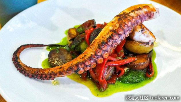 【圖】章魚的好處