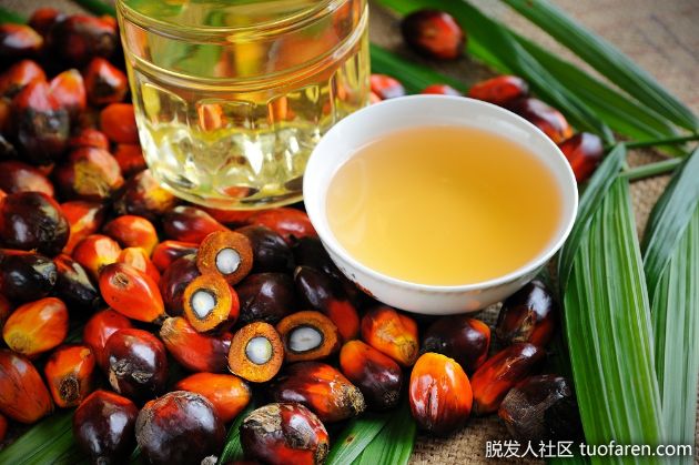 【圖】棕櫚油的好處