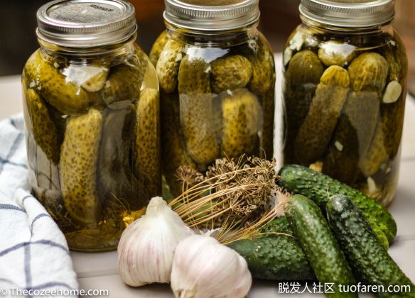【圖】泡菜的好處