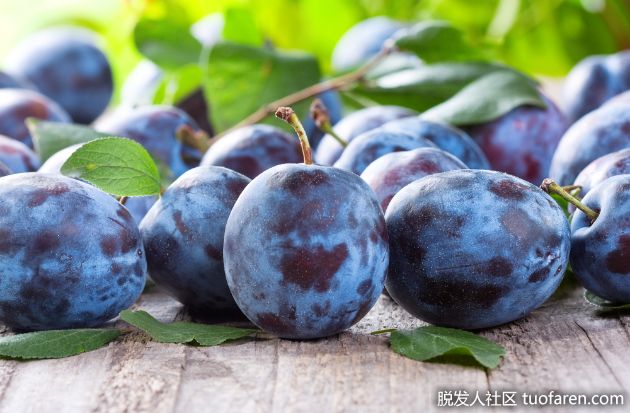 【圖】李子的好處