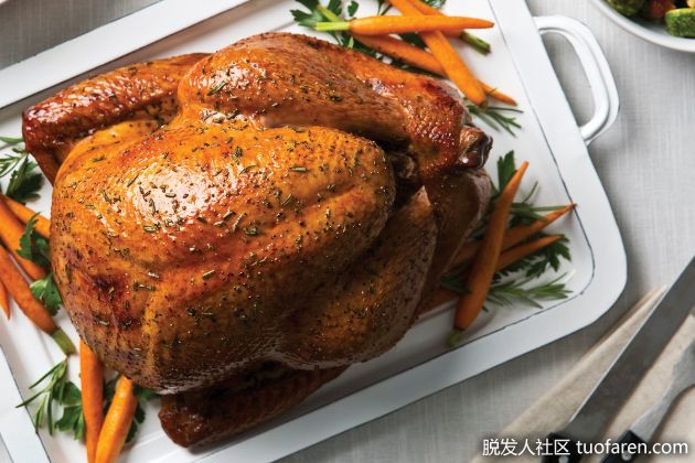 【圖】火雞的好處