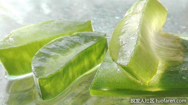 【圖】吃太多蘆薈的8個主要副作用