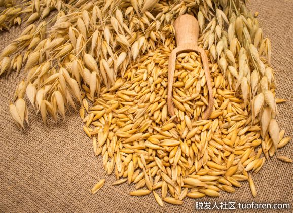 【圖】燕麥對皮膚的美容作用