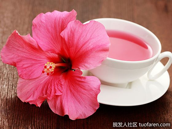 【圖】茶水洗頭髮：芙蓉茶