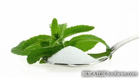 【圖】甜菊糖的好處