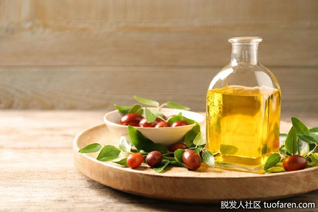 【圖】霍霍巴油的好處