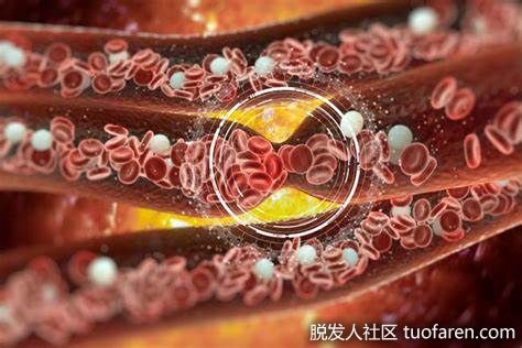 【圖】必需脂肪酸的好處