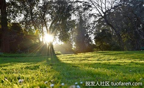 【圖】陽光的益處