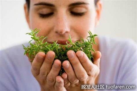 【圖】百里香對頭髮的好處