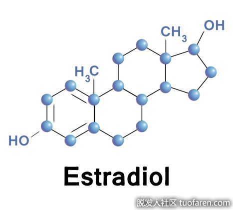 【圖】什麼是雌二醇？