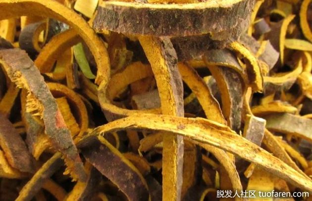 【圖】小檗鹼的好處