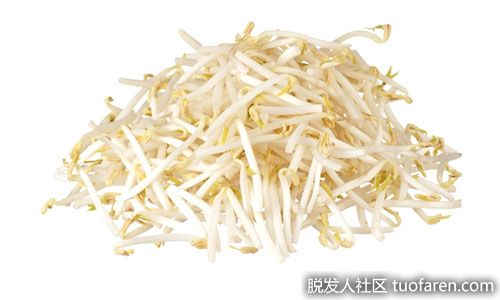 【圖】豆芽的功效和作用