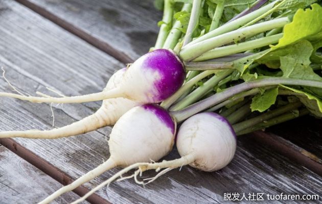 【圖】蘿蔔的功效和作用