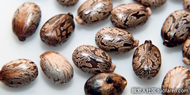 【圖】蓖麻油是否有效：瞭解真相