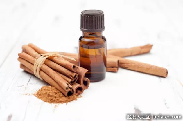 【圖】如何製作肉桂油