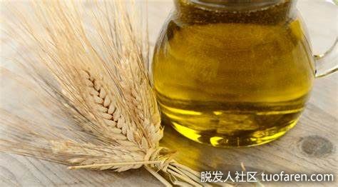 【圖】二十八烷醇的好處