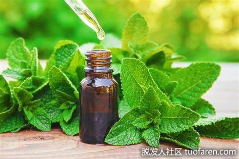 【圖】薄荷油對頭髮的5大健康益處